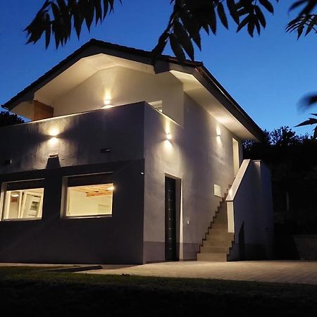 Grajsko Βίλα Metlika Εξωτερικό φωτογραφία