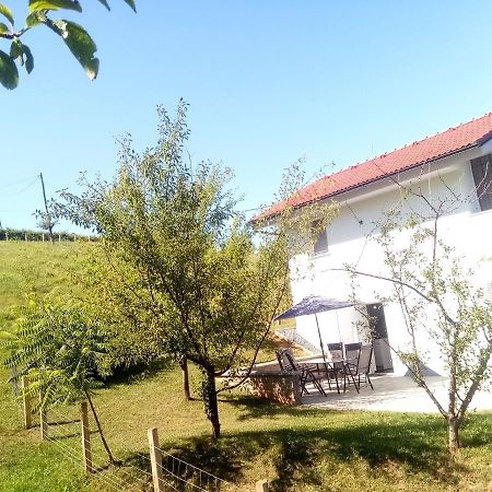Grajsko Βίλα Metlika Εξωτερικό φωτογραφία