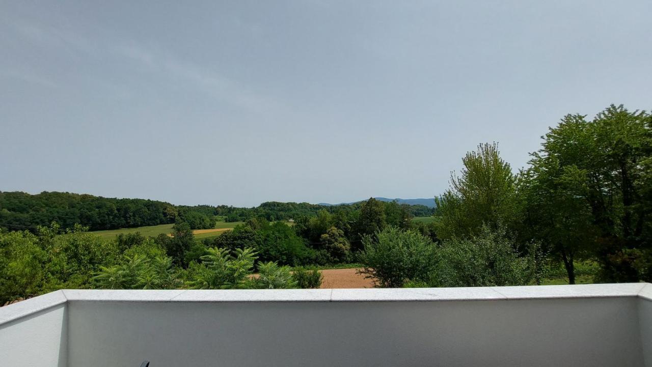 Grajsko Βίλα Metlika Εξωτερικό φωτογραφία