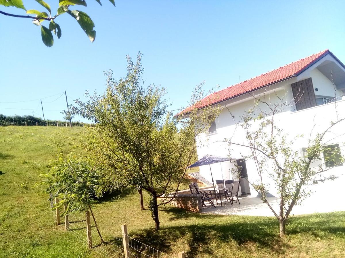 Grajsko Βίλα Metlika Εξωτερικό φωτογραφία